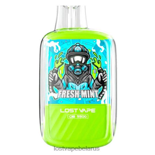 Lost Vape Orion ob5500 5500 капель 14мл 50мг одноразовые свежая мята 4XNRV101 Lost Vape Belarus